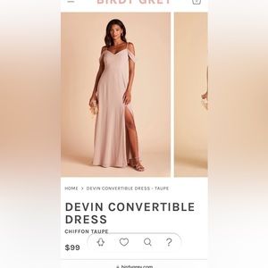 Birdy Gray Bridesmaids Dress- Taupe